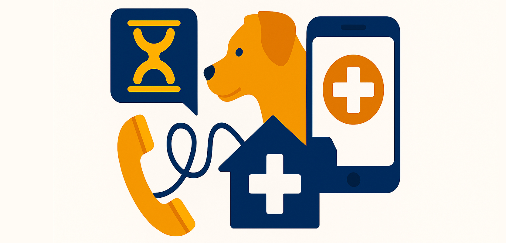 Veterinari a Roma: I Contatti Utili in Caso di Emergenza